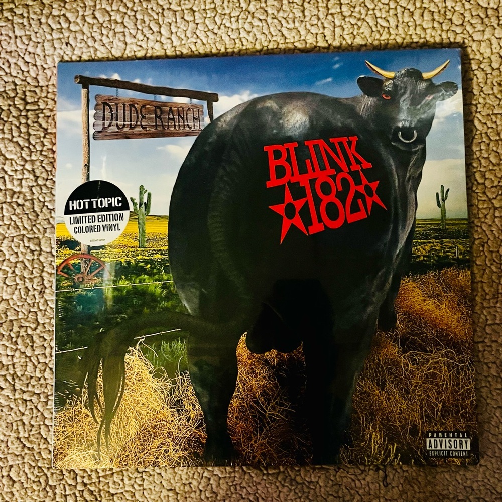 BLINK 182 Special edition colored Vinyl RARE